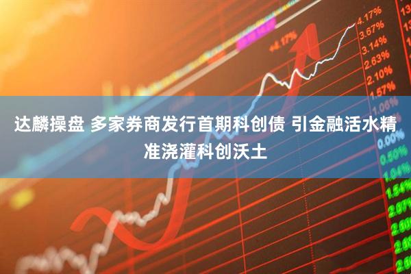 达麟操盘 多家券商发行首期科创债 引金融活水精准浇灌科创沃土