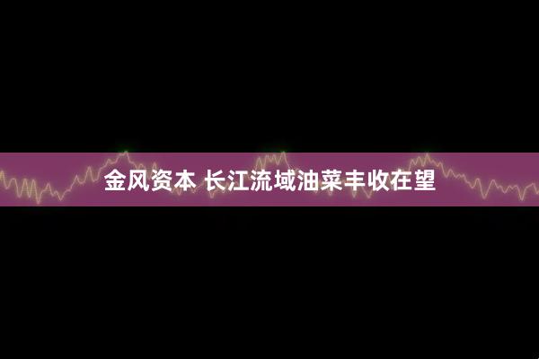 金风资本 长江流域油菜丰收在望