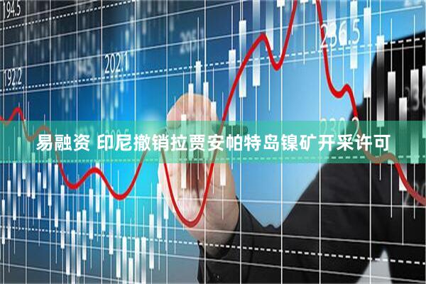 易融资 印尼撤销拉贾安帕特岛镍矿开采许可