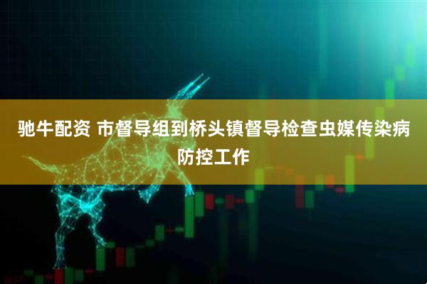 驰牛配资 市督导组到桥头镇督导检查虫媒传染病防控工作