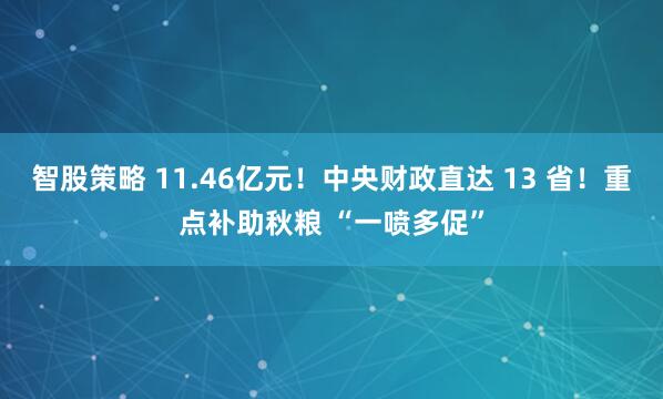 智股策略 11.46亿元！中央财政直达 13 省！重点补助秋粮 “一喷多促”