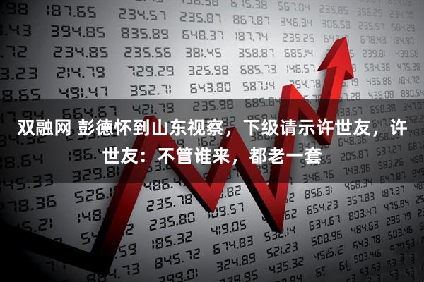 双融网 彭德怀到山东视察，下级请示许世友，许世友：不管谁来，都老一套