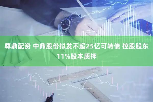 尊鼎配资 中鼎股份拟发不超25亿可转债 控股股东11%股本质押