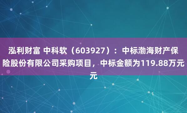 泓利财富 中科软（603927）：中标渤海财产保险股份有限公司采购项目，中标金额为119.88万元