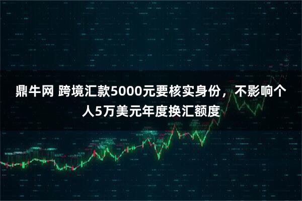 鼎牛网 跨境汇款5000元要核实身份，不影响个人5万美元年度换汇额度