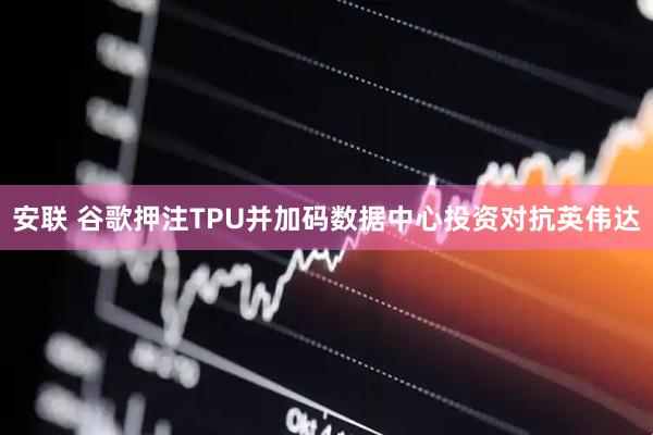 安联 谷歌押注TPU并加码数据中心投资对抗英伟达